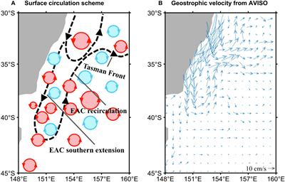 Seasonal variability of eddy kinetic energy in the East Australian current region